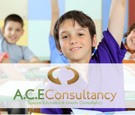 Ace Consultancy